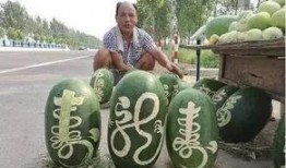 西瓜新闻大爆料